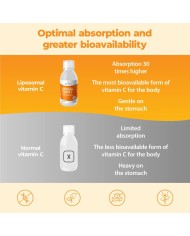 Liposomal Vitamin C - 250 ml Liquid Vit C Supplement
