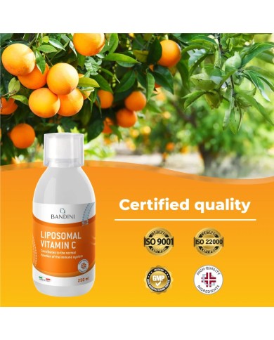 Liposomal Vitamin C - 250 ml Liquid Vit C Supplement