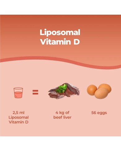 Liposomal Vitamin D Vegan Supplement - 250 ml