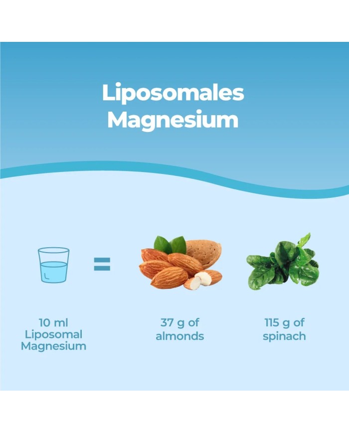 High Strength Liposomal Magnesium Supplement - 250ml