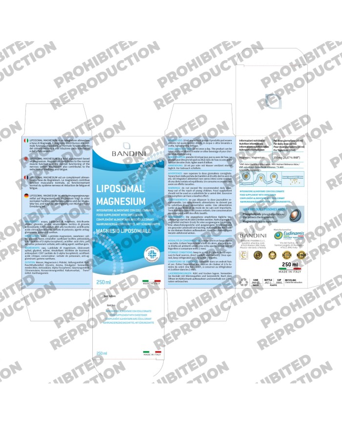 High Strength Liposomal Magnesium Supplement - 250ml