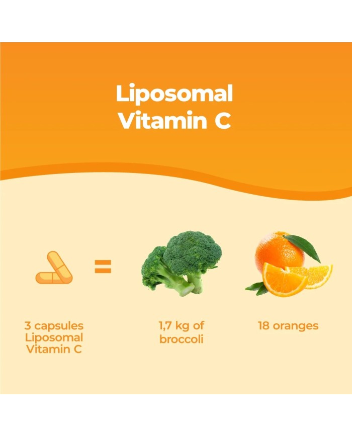 Vitamin C 800mg Liposomal Supplement - 60 Capsules