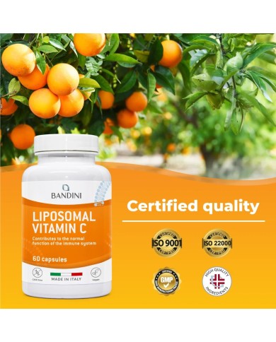 Vitamin C 800mg Liposomal Supplement - 60 Capsules