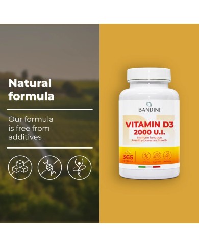 Vitamina D3 365 softgels in Olio d'Oliva - Rinforza i tuoi muscoli
