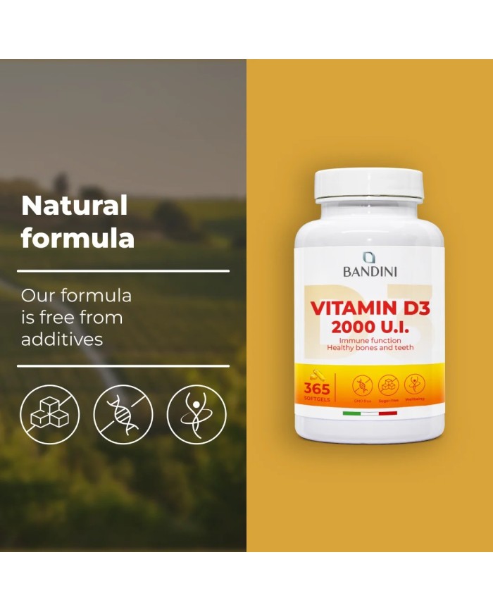 Vitamina D3 365 softgels in Olio d'Oliva - Rinforza i tuoi muscoli