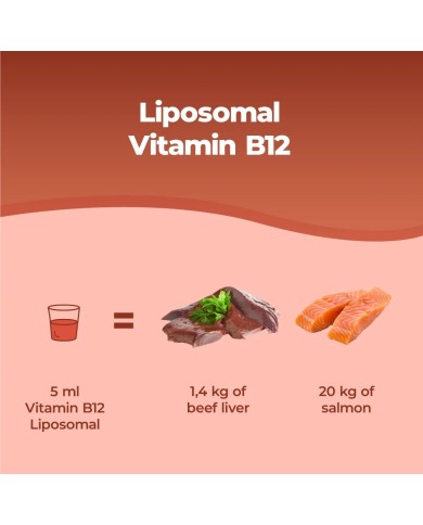 Liposomal Vitamin B12 Methylcobalamin 1000 mcg - 250 ml
