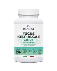 Fucus Kelp Algae - Stimolante per perdita di peso ed anticellulite