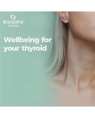 Fucus Kelp Algae - Stimolante per perdita di peso ed anticellulite