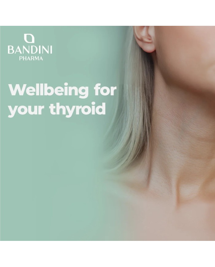 Fucus Kelp Algae - Stimolante per perdita di peso ed anticellulite