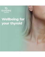 Fucus Kelp Algae - Stimolante per perdita di peso ed anticellulite