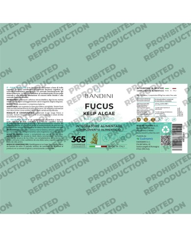 Fucus Kelp Algae - Stimolante per perdita di peso ed anticellulite