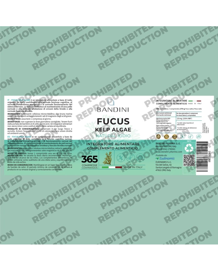 Fucus Kelp Algae - Stimolante per perdita di peso ed anticellulite