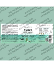Fucus Kelp Algae - Stimolante per perdita di peso ed anticellulite