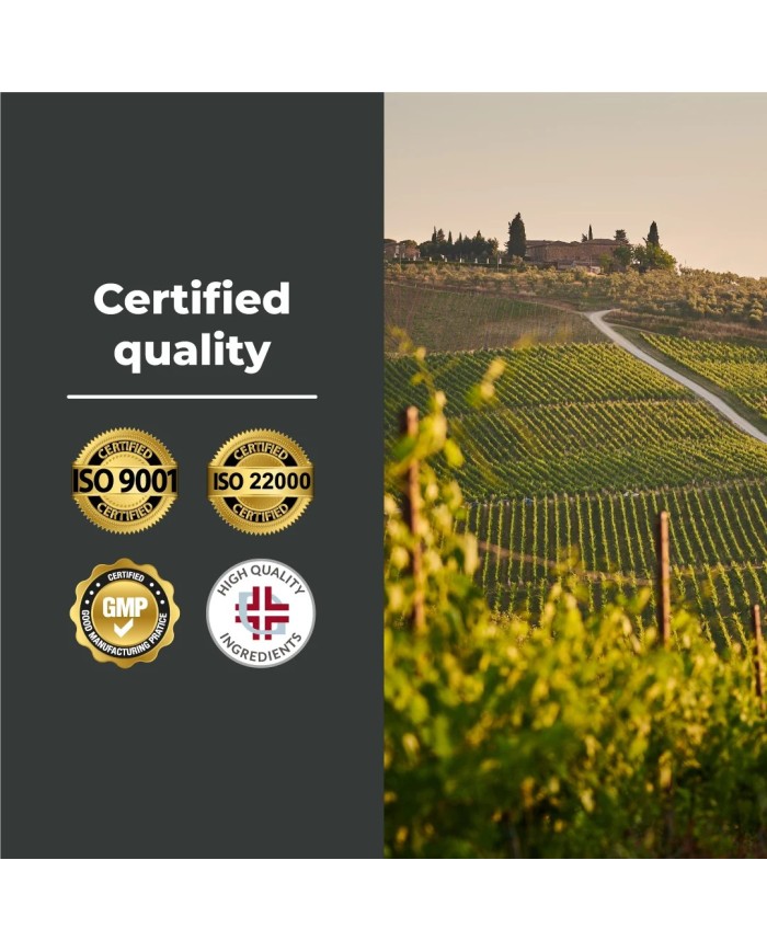 Fucus Kelp Algae - Stimolante per perdita di peso ed anticellulite