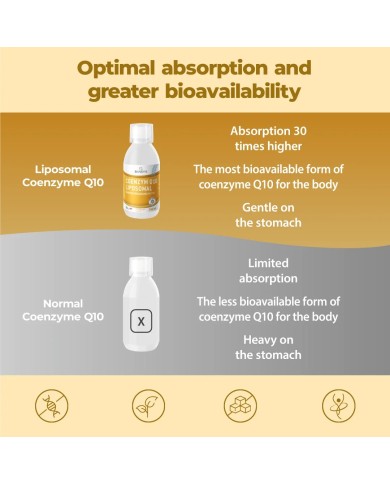 Liposomal CoQ10 Ubiquinol - Coenzyme Q10 liquid