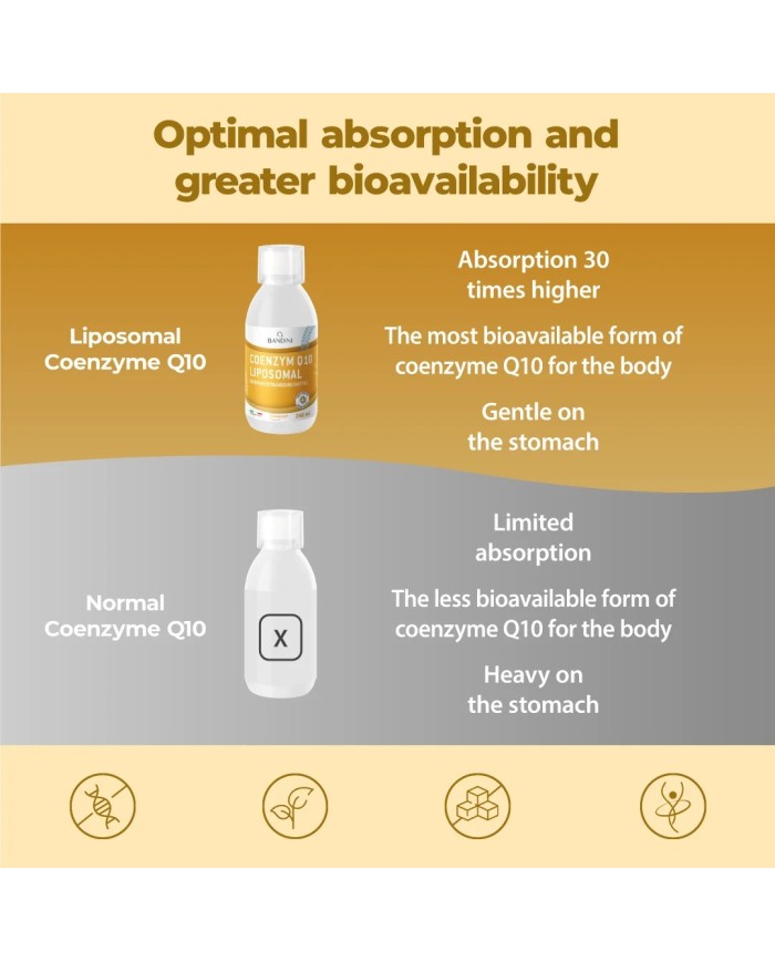 Liposomal CoQ10 Ubiquinol - Coenzyme Q10 liquid