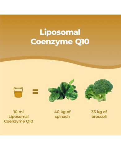 Liposomal CoQ10 Ubiquinol - Coenzyme Q10 liquid