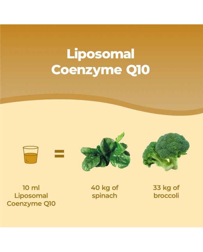 Liposomal CoQ10 Ubiquinol - Coenzyme Q10 liquid