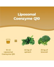 Liposomal CoQ10 Ubiquinol - Coenzyme Q10 liquid