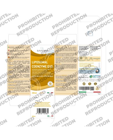 Liposomal CoQ10 Ubiquinol - Coenzyme Q10 liquid