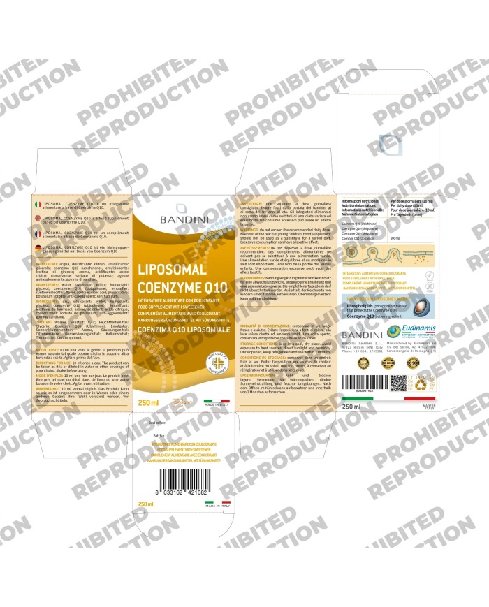 Liposomal CoQ10 Ubiquinol - Coenzyme Q10 liquid