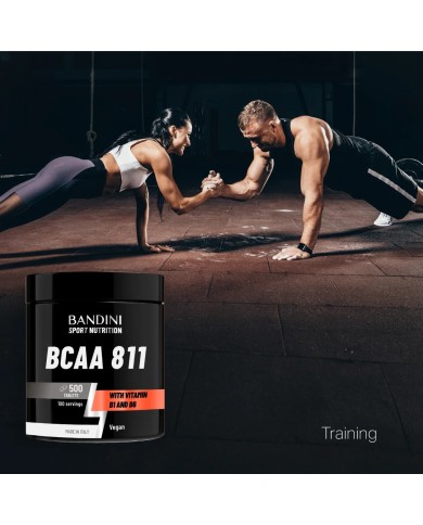 BCAA 8:1:1 - 500 Tablets - Pre & Post workout food supplement
