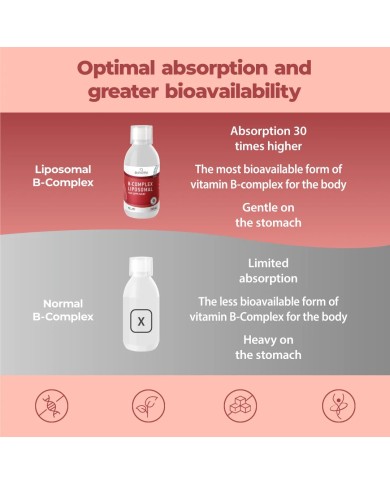 Liposomal Vitamin B Complex liquid 250 ml - High strength