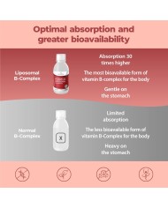 Liposomal Vitamin B Complex liquid 250 ml - High strength