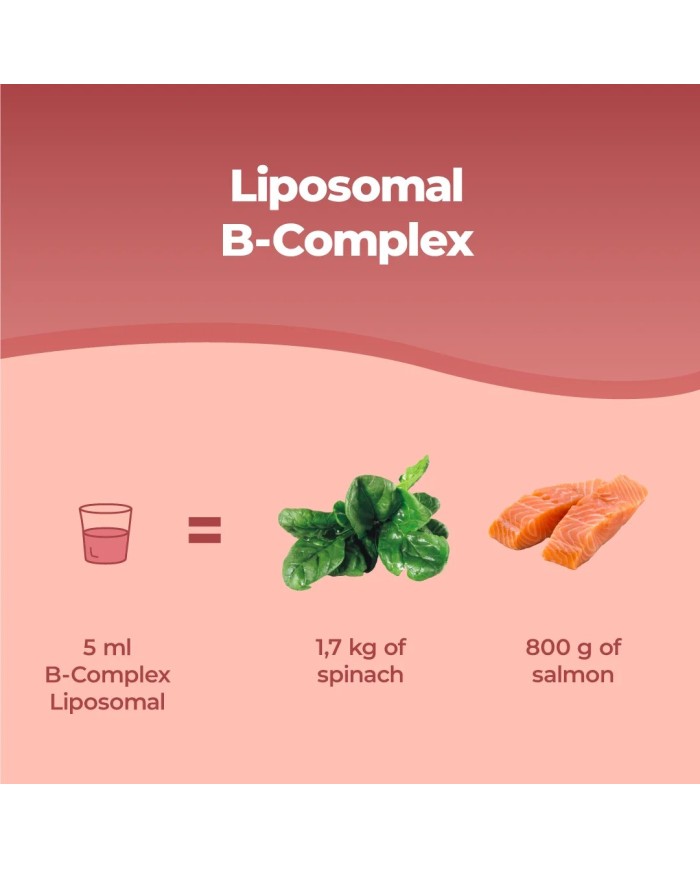 Liposomal Vitamin B Complex liquid 250 ml - High strength