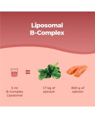 Liposomal Vitamin B Complex liquid 250 ml - High strength