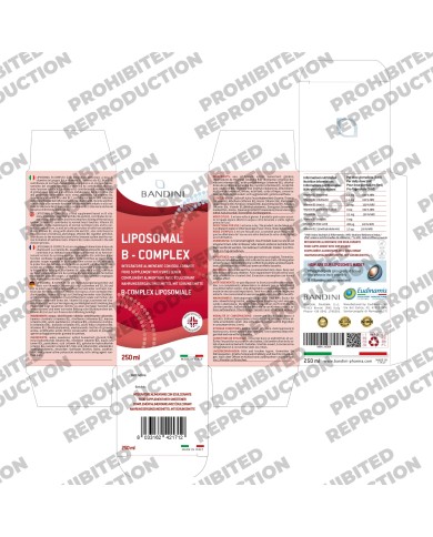 Liposomal Vitamin B Complex liquid 250 ml - High strength