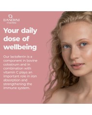 Lactoferrin 60 capsules - Antioxidant for the immune system