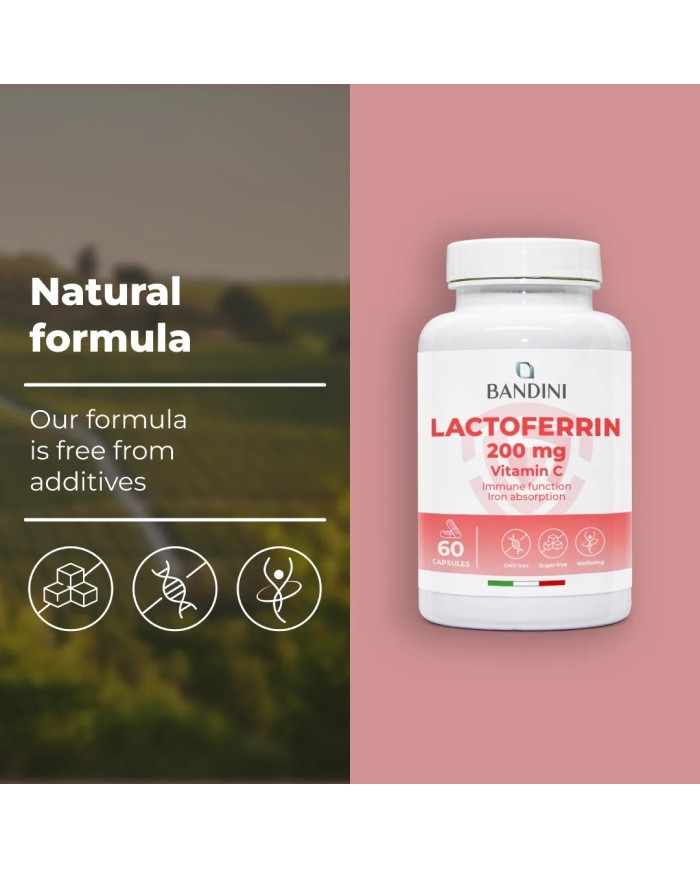 Lactoferrin 60 capsules - Antioxidant for the immune system