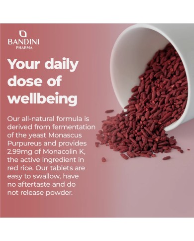 Red Rice with Monacolin K 90 tablets reduces cholesterol