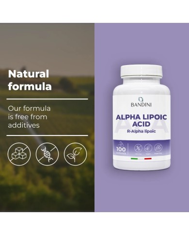Alpha lipoic acid | 100 capsules | Antioxidant anti inflammatory