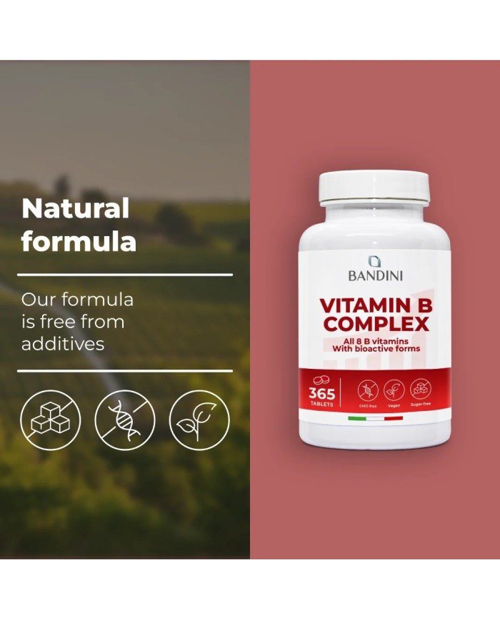 B Complex Vitamins - 365 tablets - 100% vegan & No GMOs