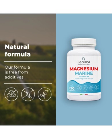 Marine Magnesium with Vitamin B6 - Reduces fatigue & stress