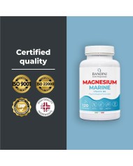 Marine Magnesium with Vitamin B6 - Reduces fatigue & stress