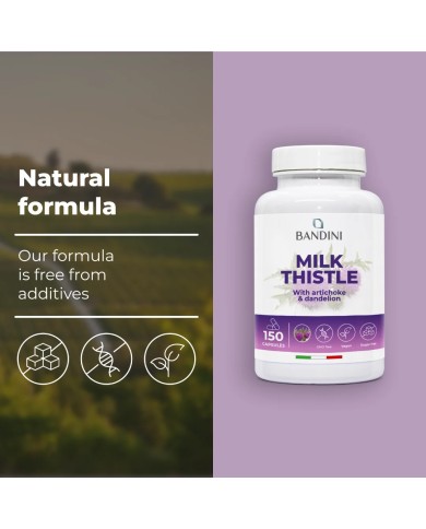 Milk Thistle 150 capsules - Healthy liver - Diuretic and digestive
