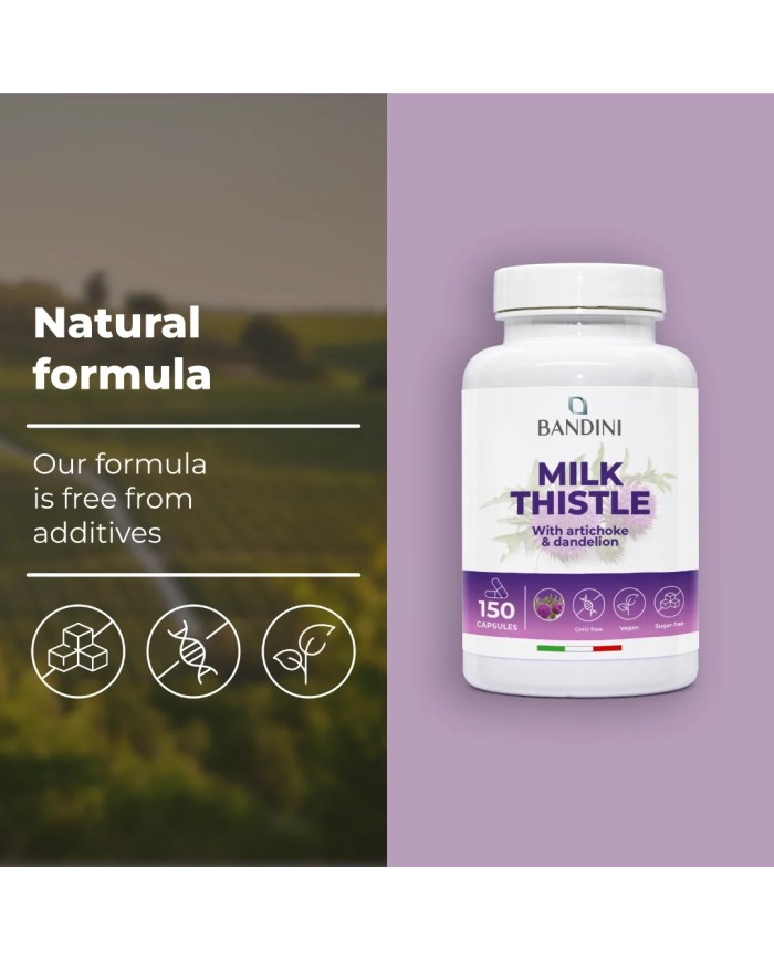 Milk Thistle 150 capsules - Healthy liver - Diuretic and digestive