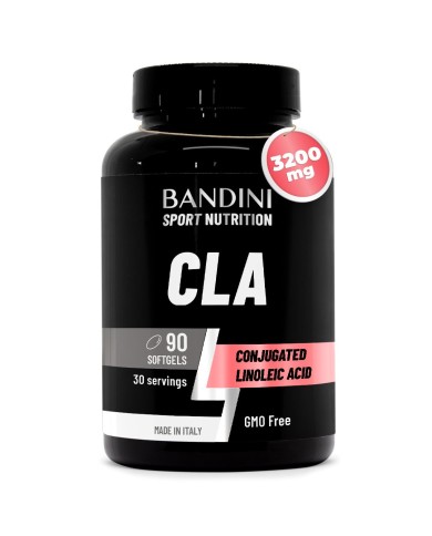 CLA 90 Softgels - Fatty acids to increase muscle mass