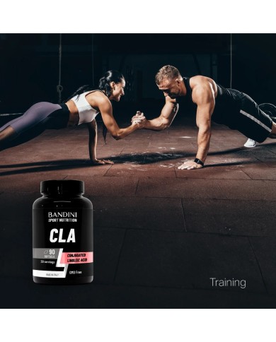 CLA 90 Softgels - Fatty acids to increase muscle mass