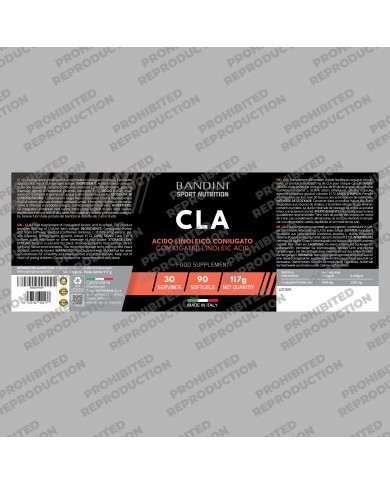 CLA 90 Softgels - Fatty acids to increase muscle mass