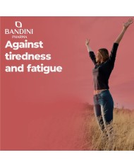 Vitamin B12 with Folic Acid and Vitamin C | 400 tablets