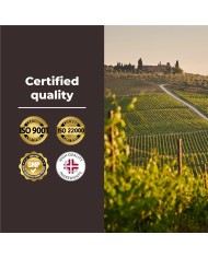 Vitamin B12 with Folic Acid and Vitamin C | 400 tablets