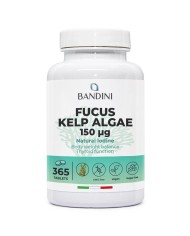 Fucus Kelp Algae 150mcg tablets - Natural source of iodine