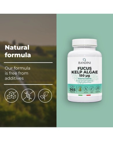 Fucus Kelp Algae 150mcg tablets - Natural source of iodine