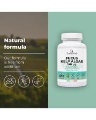 Fucus Kelp Algae 150mcg tablets - Natural source of iodine