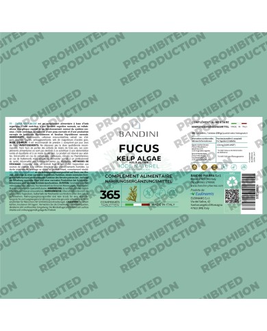 Fucus Kelp Algae 150mcg tablets - Natural source of iodine