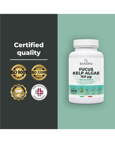 Fucus Kelp Algae 150mcg tablets - Natural source of iodine